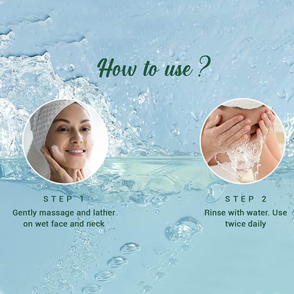 Biotique Bio-Fresh Neem Pimple Control Face Wash 100ml