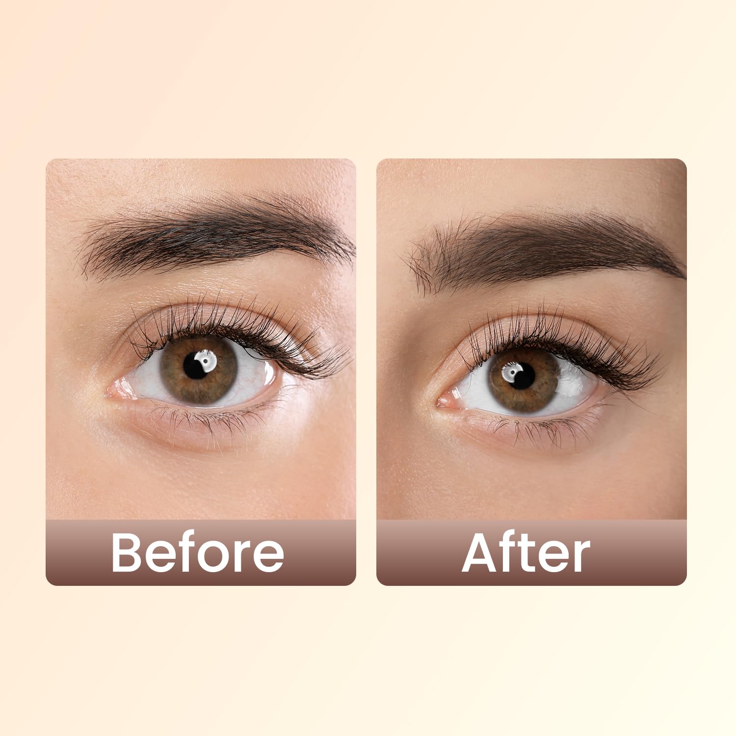Swiss Beauty Eyebrow Definer Pencil (Chestnut)