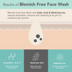 Lotus Derma Botanics Blemish Face Wash 100g