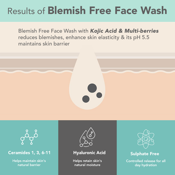 Lotus Derma Botanics Blemish Face Wash 100g